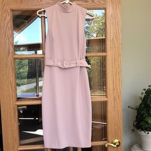 Express Light Pink Belted Dress